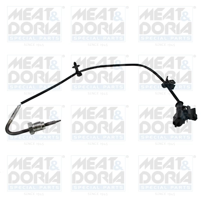Sensor, exhaust gas temperature